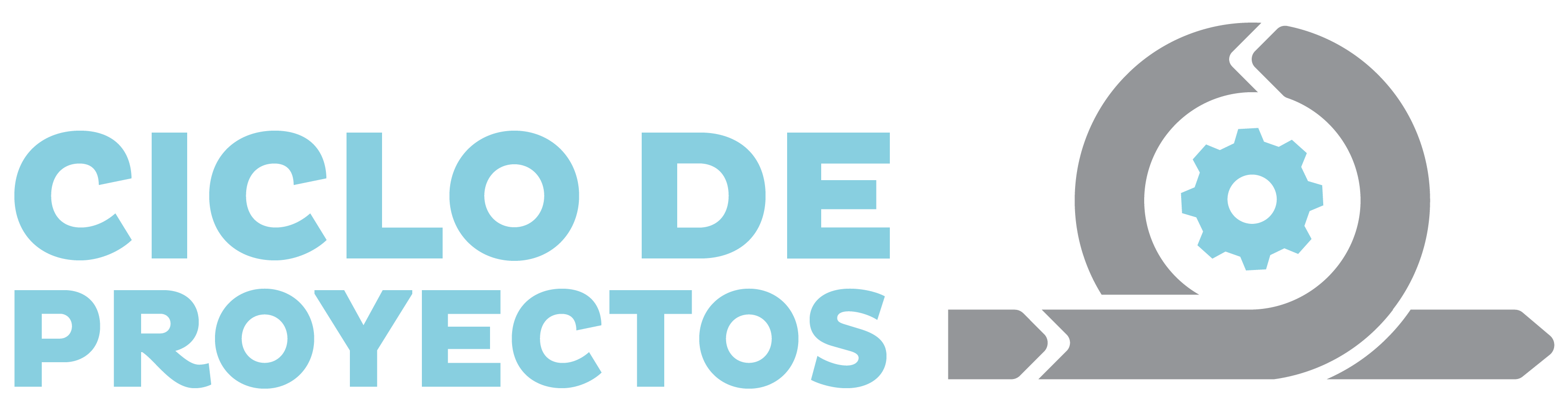 ciclo-de-proyectos